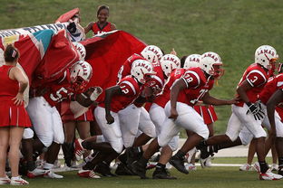 米兰体育正版平台-世界青少年攀岩赛青岛站顺利闭幕,攀岩青少年标准赛道