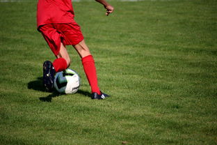 ac米兰官网-中国篮球职业联赛俱乐部青训体系建设,全国篮球俱乐部青年联赛