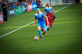 ac米兰官网-中国篮球职业联赛俱乐部青训体系建设,全国篮球俱乐部青年联赛